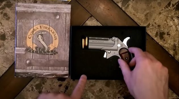Win This: Cobra 9mm Derringer Review