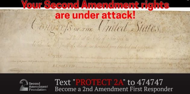 Stand Against Tyranny, Spread SAVE2A Campaign